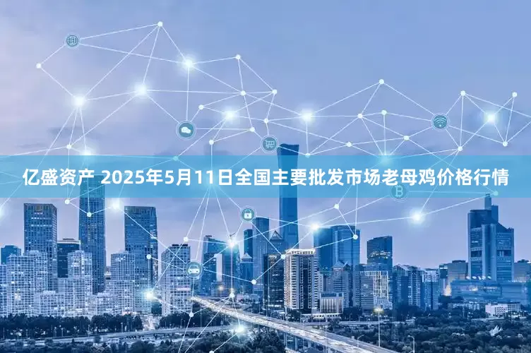 亿盛资产 2025年5月11日全国主要批发市场老母鸡价格行情