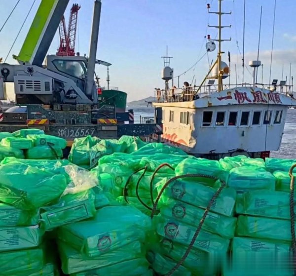 鼎坤策略 涉案超6000多万! 一冻品走私团伙被摧毁! 50人落网!