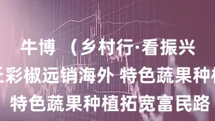 牛博 （乡村行·看振兴）山西灵丘彩椒远销海外 特色蔬果种植拓宽富民路
